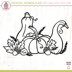 Fall Pumpkins and Gourds