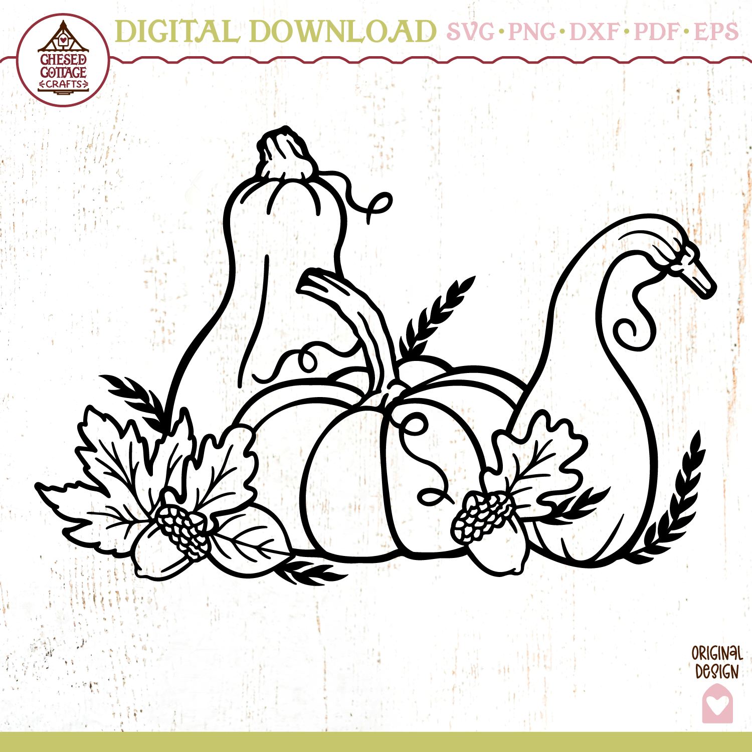 Fall Pumpkins and Gourds